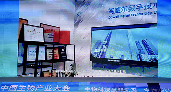 笃威尔数字技术